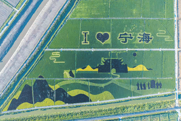 ĻԪ L@¾